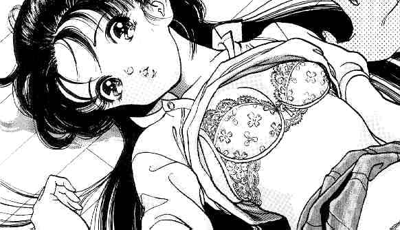 Shin Angel