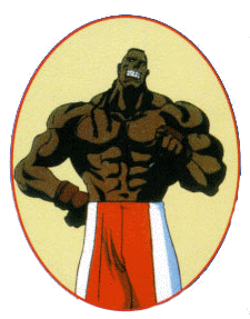 Street Fighter II V