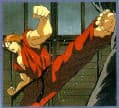 Street Fighter II V